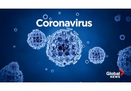 Kurzinfo - Coronavirus