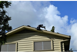 Wie hoch sind die Kosten für die Renovierung Ihres Daches?